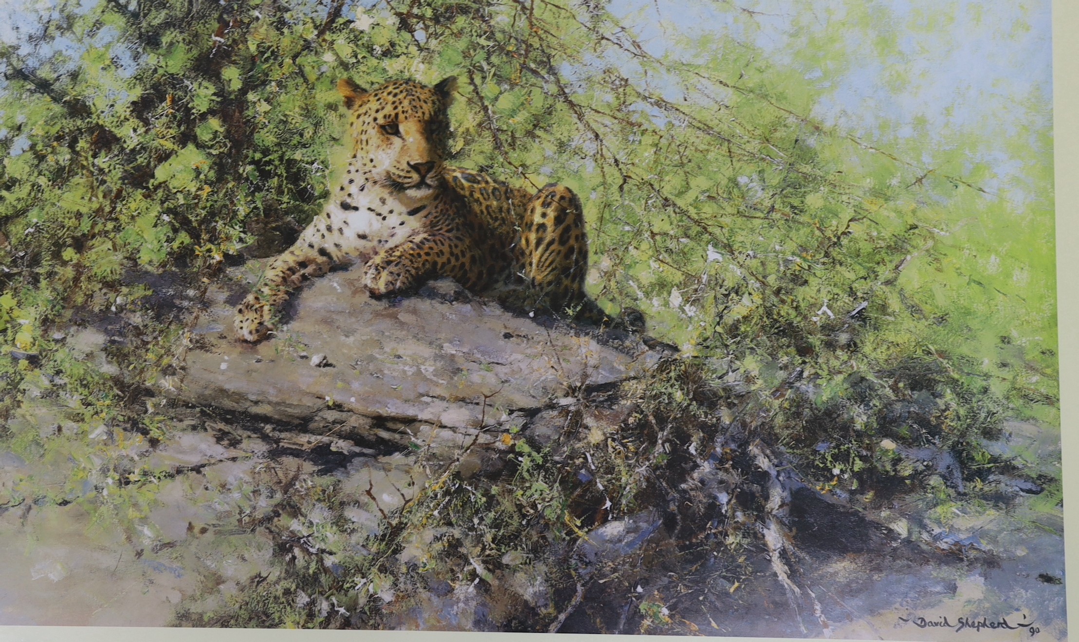 David Shepherd, three limited edition prints, 'Cheetah', 'The Sentinel' and 'In the Thick Stuff', all signed in pencil by the artist, largest 51 x 88cm